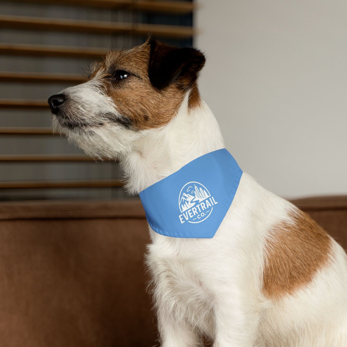 Stylish Pet Bandana Collar | Trendy Dog Accessory, Perfect for Walks, Gifts for Dog Lovers, Pet Fashion, Blue Dog Bandana