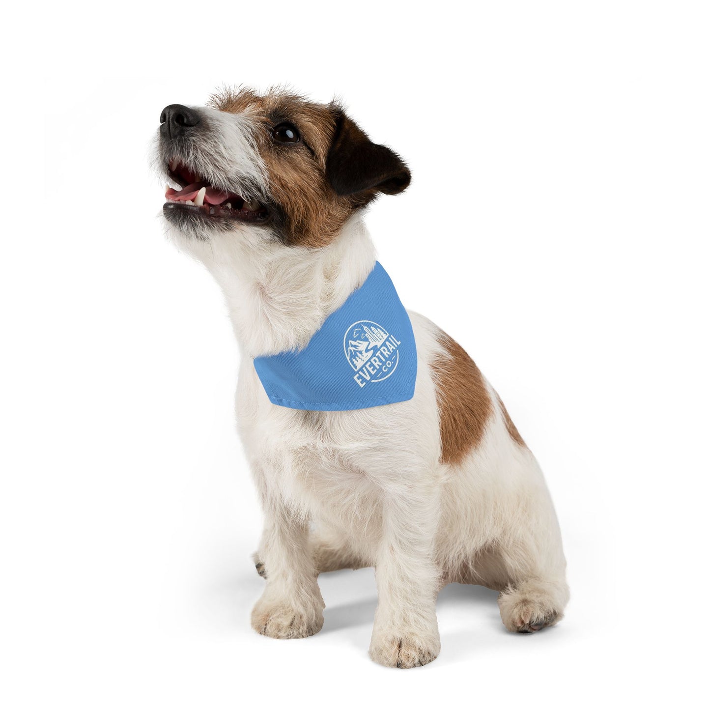 Stylish Pet Bandana Collar | Trendy Dog Accessory, Perfect for Walks, Gifts for Dog Lovers, Pet Fashion, Blue Dog Bandana