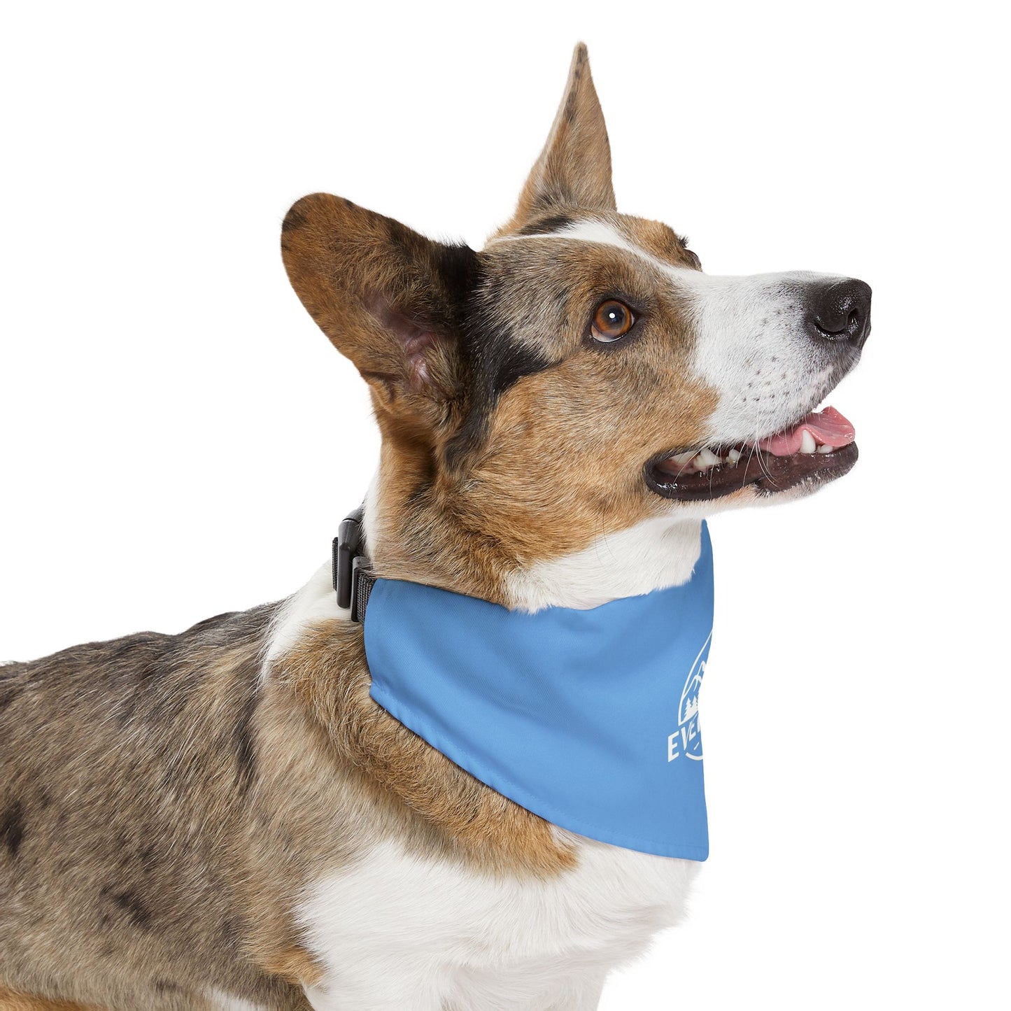 Stylish Pet Bandana Collar | Trendy Dog Accessory, Perfect for Walks, Gifts for Dog Lovers, Pet Fashion, Blue Dog Bandana