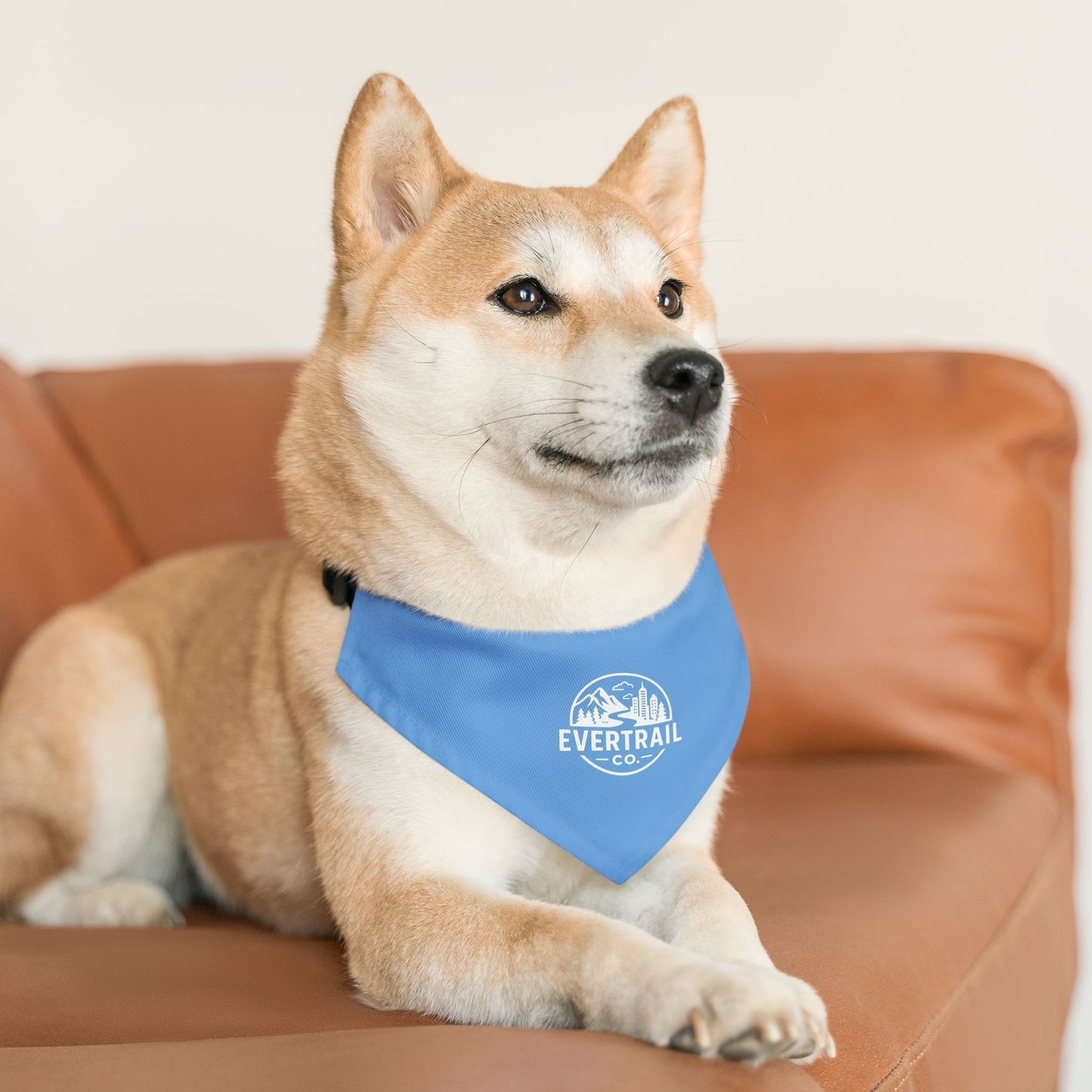 Stylish Pet Bandana Collar | Trendy Dog Accessory, Perfect for Walks, Gifts for Dog Lovers, Pet Fashion, Blue Dog Bandana