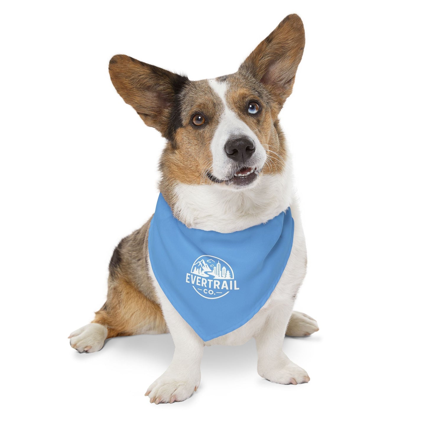 Stylish Pet Bandana Collar | Trendy Dog Accessory, Perfect for Walks, Gifts for Dog Lovers, Pet Fashion, Blue Dog Bandana